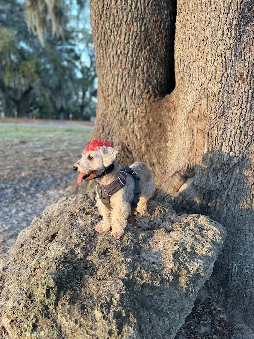 BarkPark of Wildwood 6
