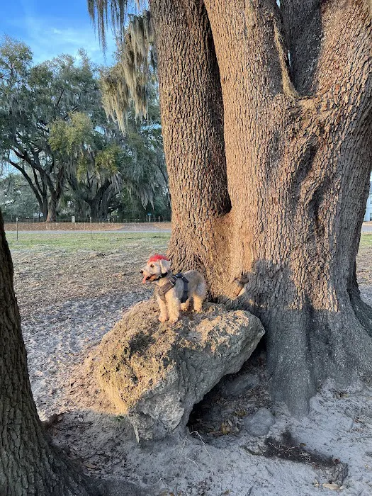BarkPark of Wildwood 1