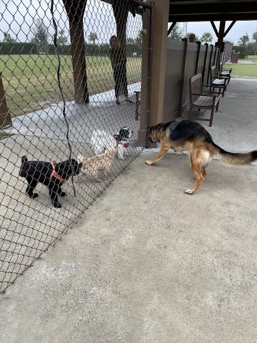 Rupert Canine Park 8