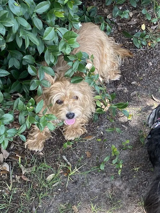 Rupert Canine Park 7