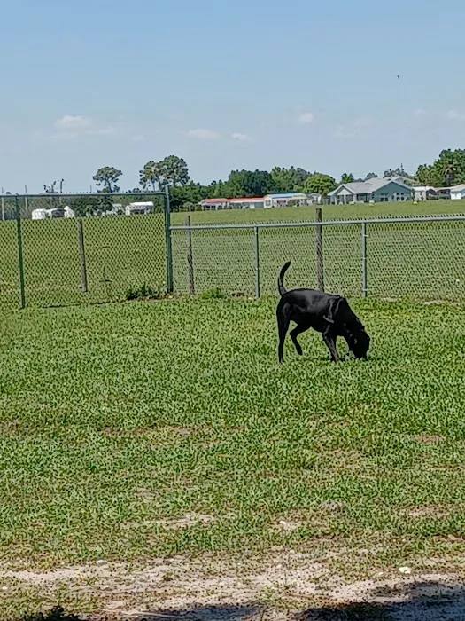 Lake Panasoffkee Dog Park 9