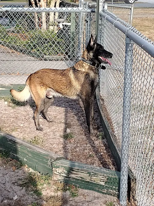 Lake Panasoffkee Dog Park 2