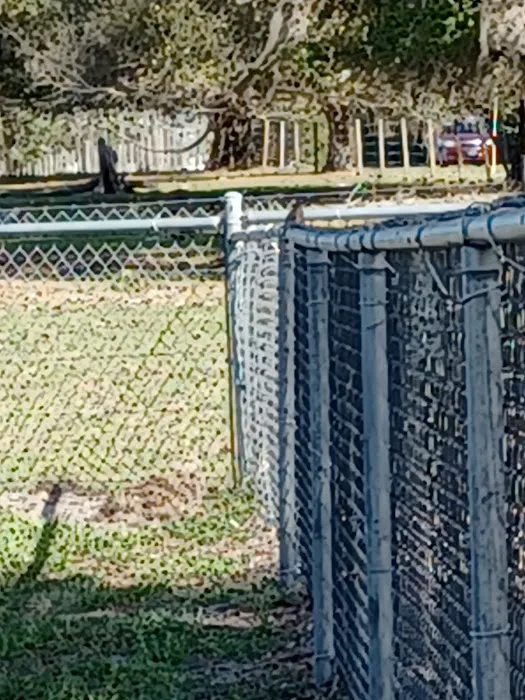 Lake Panasoffkee Dog Park 3