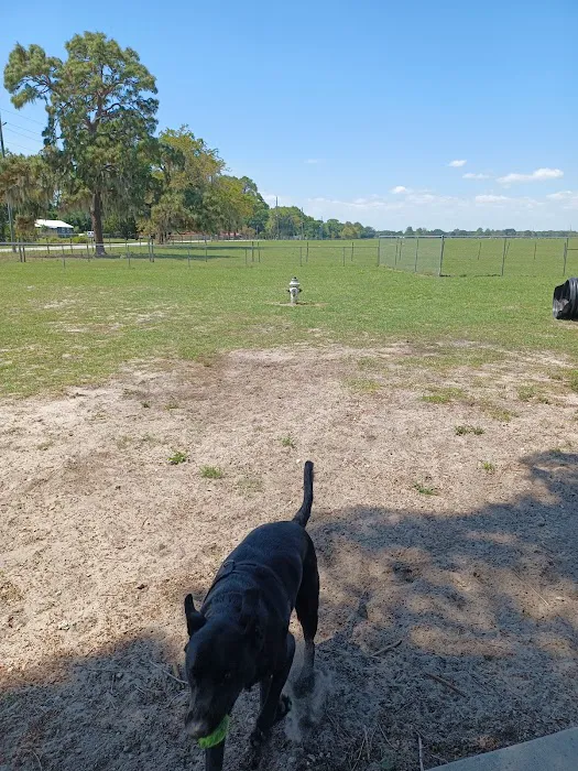 Lake Panasoffkee Dog Park 4