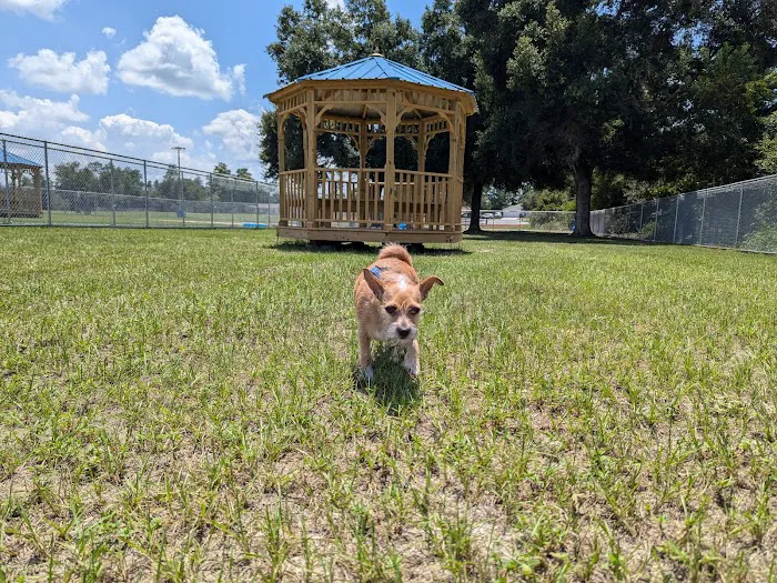Marion Oaks Dog Park 1