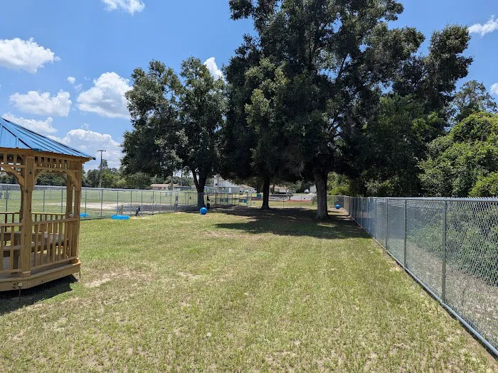 Marion Oaks Dog Park 2