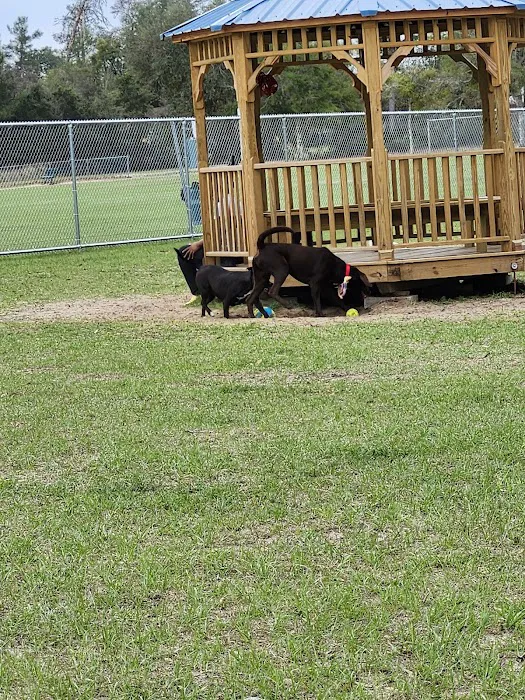 Marion Oaks Dog Park 4