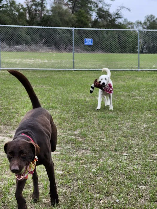 Marion Oaks Dog Park 3