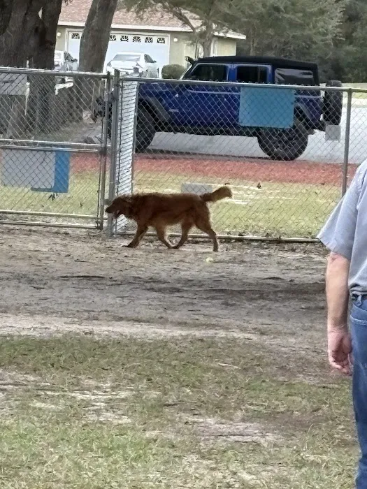 Marion Oaks Dog Park 9