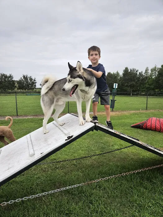 Dog Park 2
