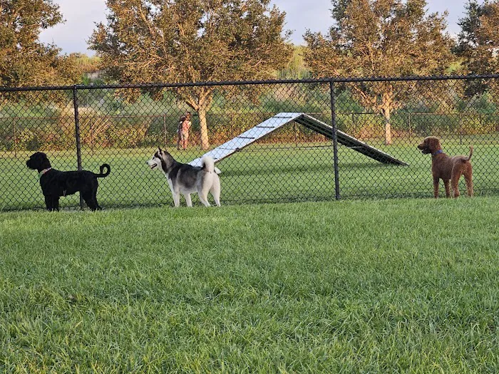 Dog Park 8