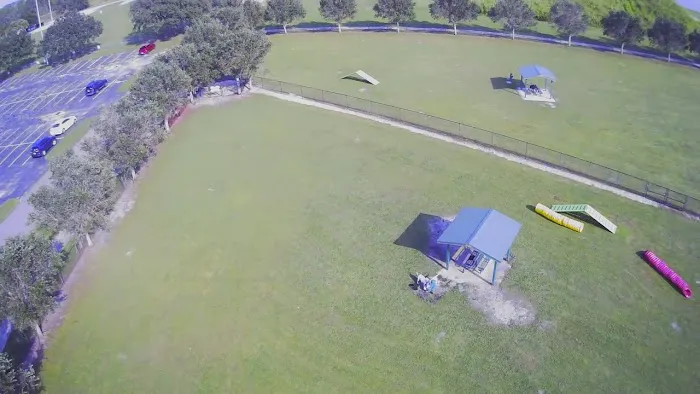 Dog Park 4
