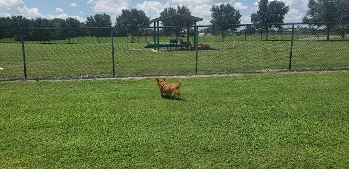 Dog Park 9