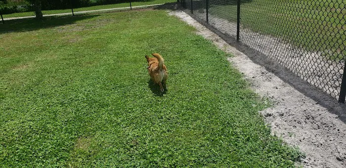 Dog Park 6