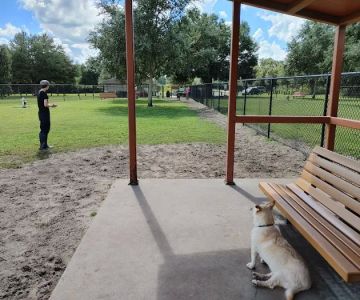 Lake Crago Dog Park