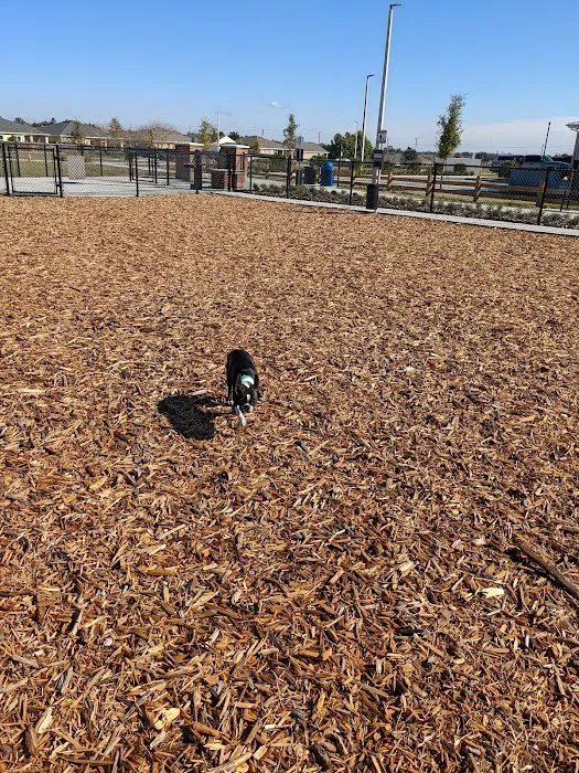Winterhaven/Lake Wales Dog Park 9