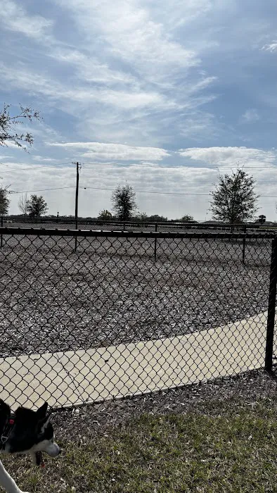 Winterhaven/Lake Wales Dog Park 6