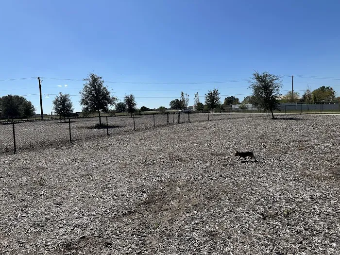 Winterhaven/Lake Wales Dog Park 3