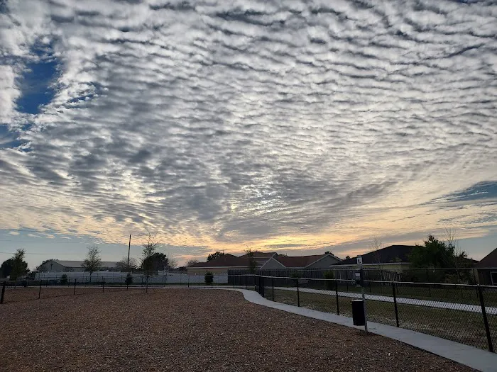 Winterhaven/Lake Wales Dog Park 8