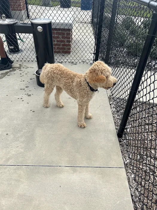 Winterhaven/Lake Wales Dog Park 2