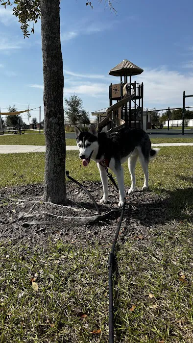 Winterhaven/Lake Wales Dog Park 10