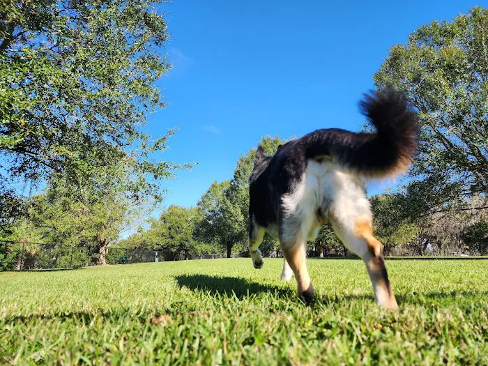 Bartow Dog Park 3