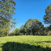 Bartow Dog Park ico