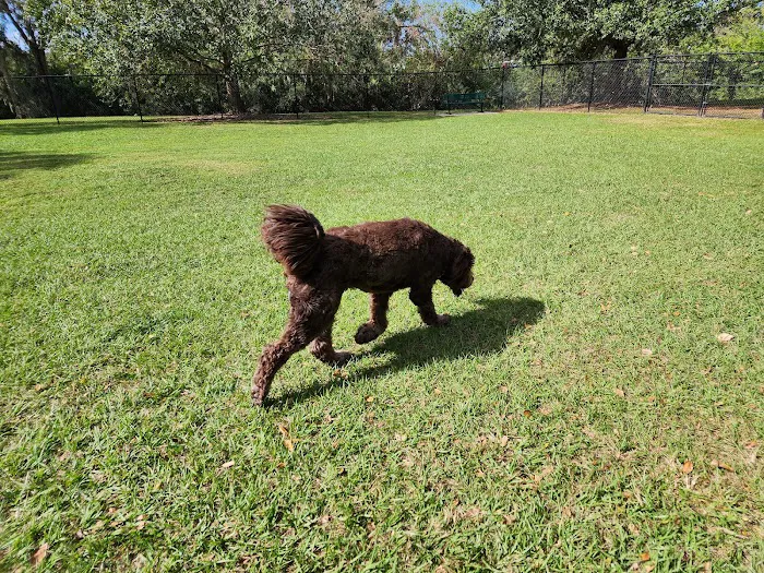 Bartow Dog Park 9