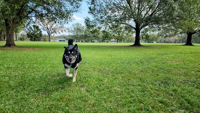Bartow Dog Park 6
