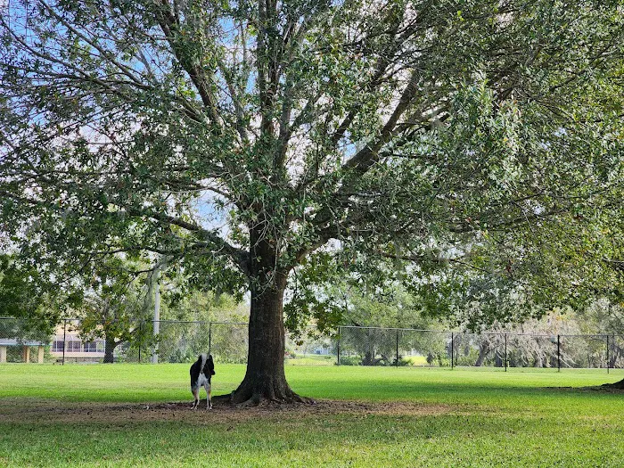 Bartow Dog Park 8