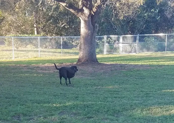 Doc. Haromy Dog Park 5
