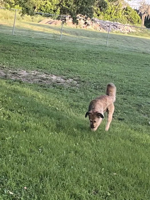 Doc. Haromy Dog Park 4