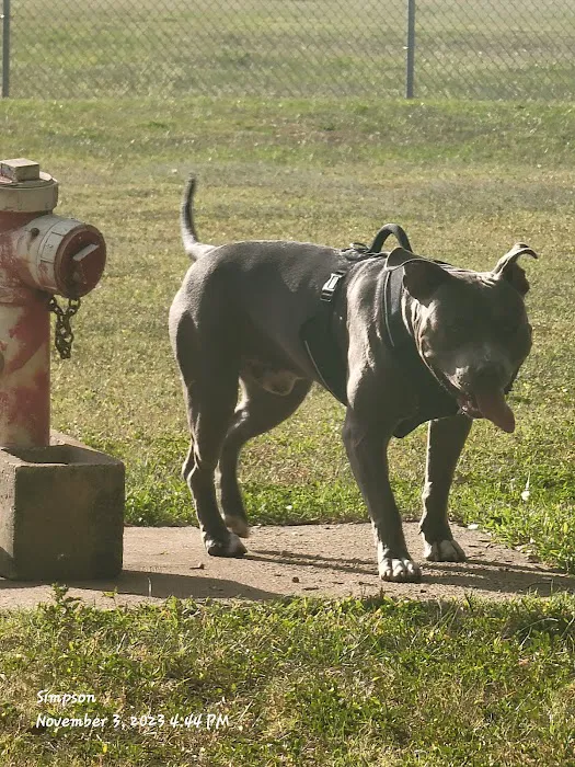 Doc. Haromy Dog Park 1