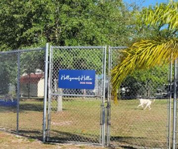 Hollywoof Hills Dog Park