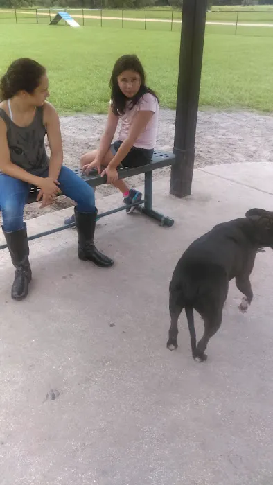 Diogi Dog Park 6