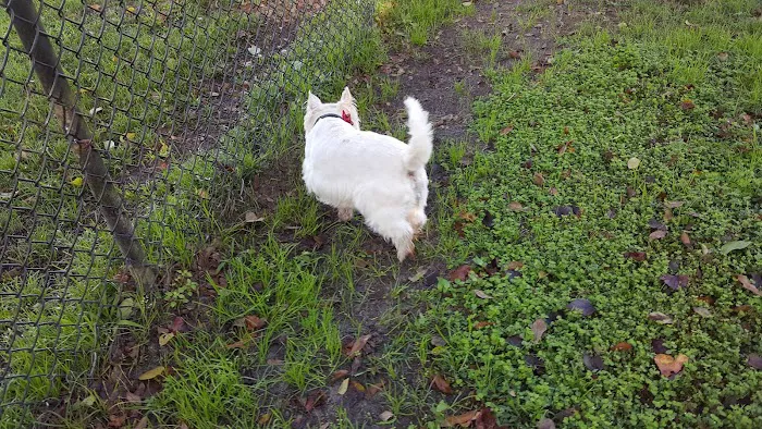 Diogi Dog Park 5