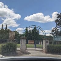 Diogi Dog Park ico