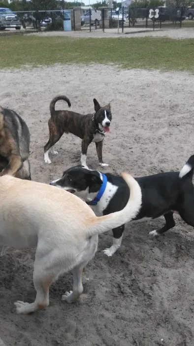 Diogi Dog Park 2