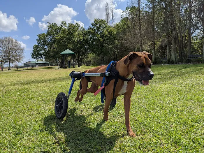 Diogi Dog Park 4