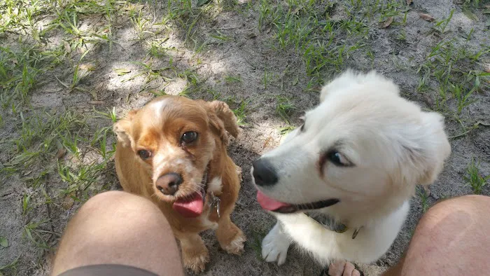 Diogi Dog Park 8