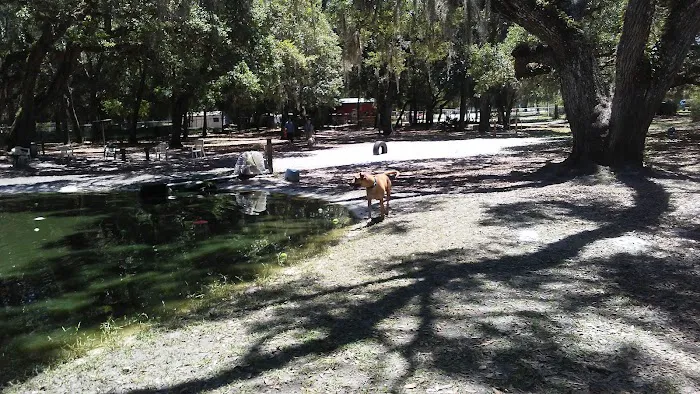 Bark Central Dog Park 3