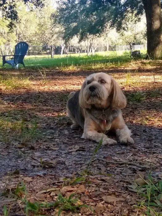 Bark Central Dog Park 7