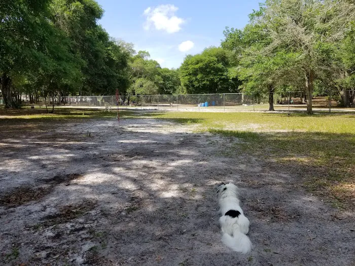Bark Central Dog Park 2