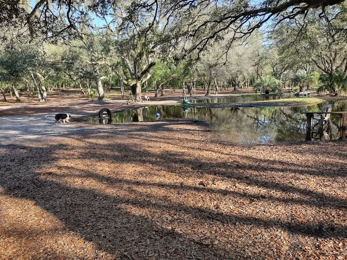 Bark Central Dog Park 4