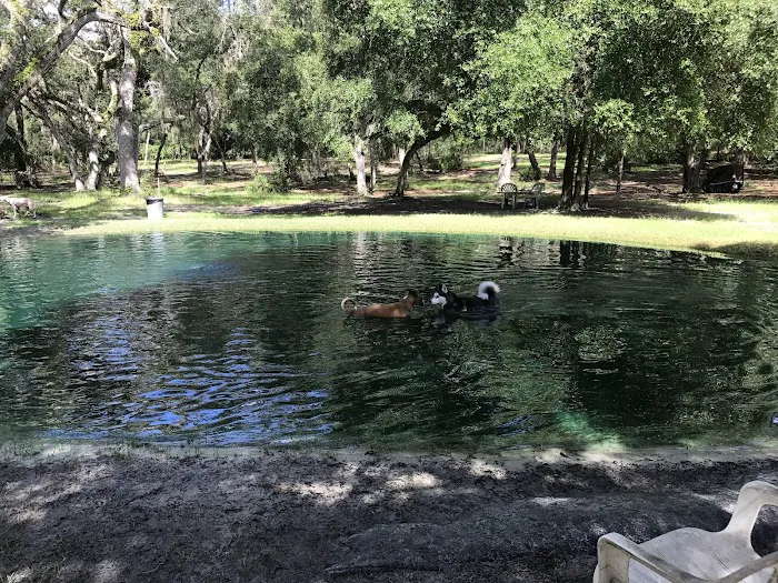 Bark Central Dog Park 10