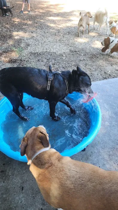Letty Towles Dog Park 1