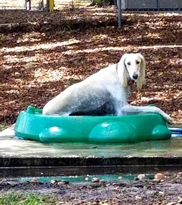 Letty Towles Dog Park 4