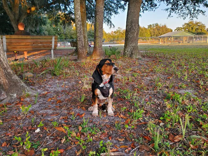 Letty Towles Dog Park 7