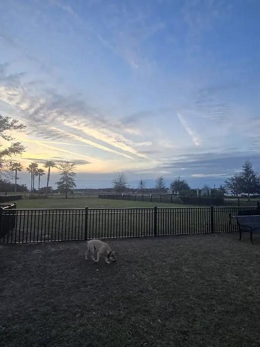 WEC Dog Park 1