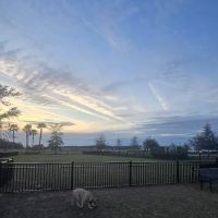 WEC Dog Park ico